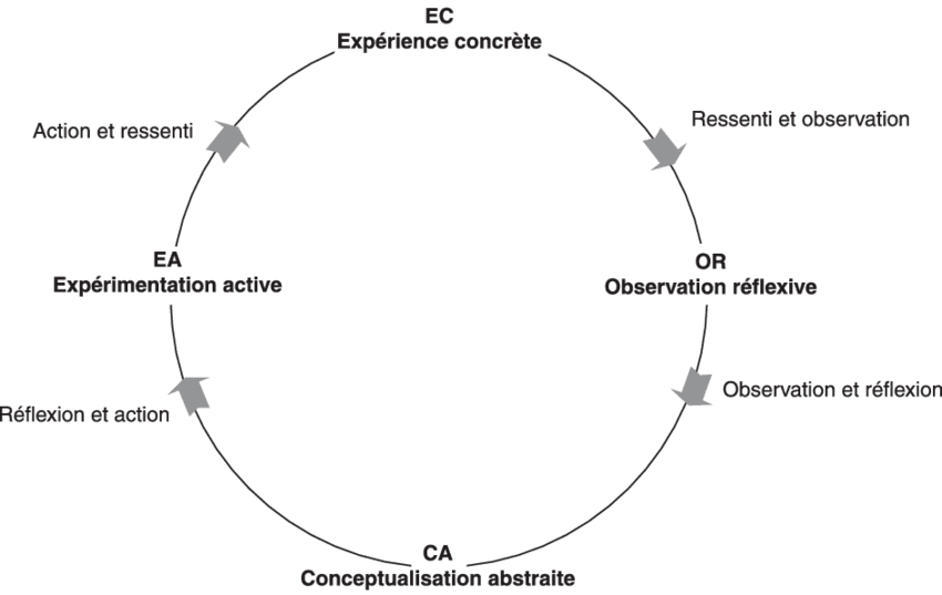 https://www.researchgate.net/figure/Cycle-de-lapprentissage-experientiel-de-Kolb_fig1_254842550 Kolb